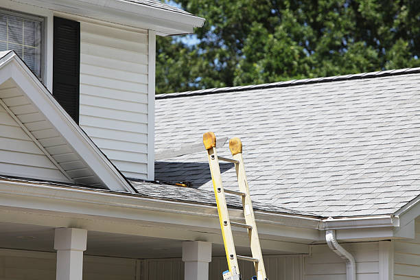 Best Siding Removal and Disposal  in Sheridan, CA